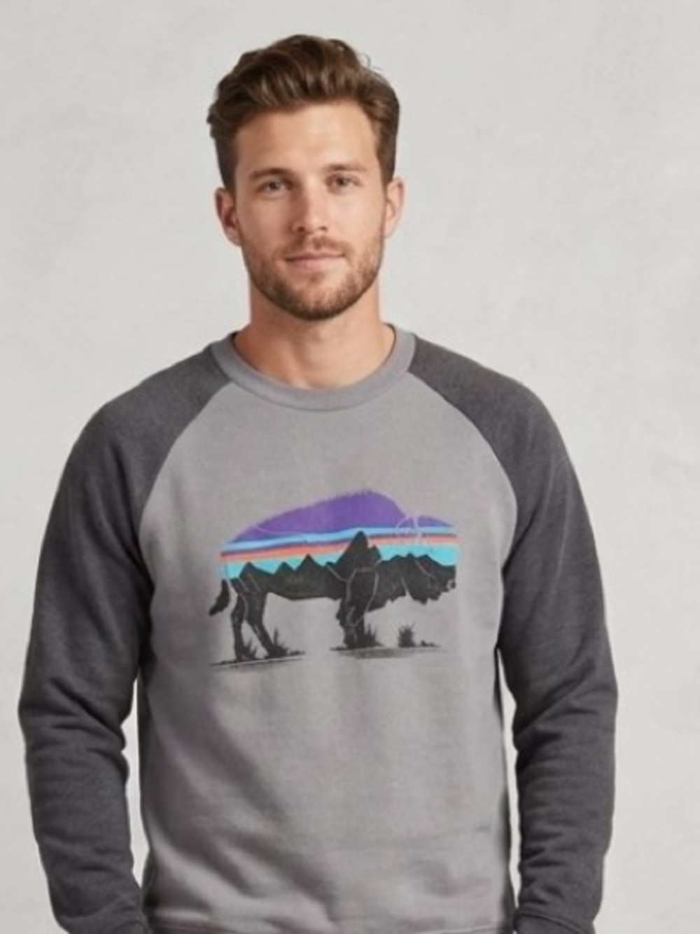 Patagonia Men's Fitz Roy Bison Lightweight Crew Sweatshirt Grey
